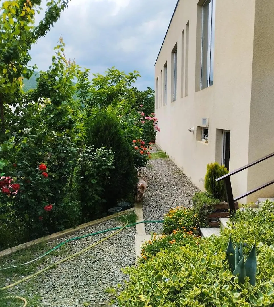Villa Digomi - Family House Tbilisi Holiday home